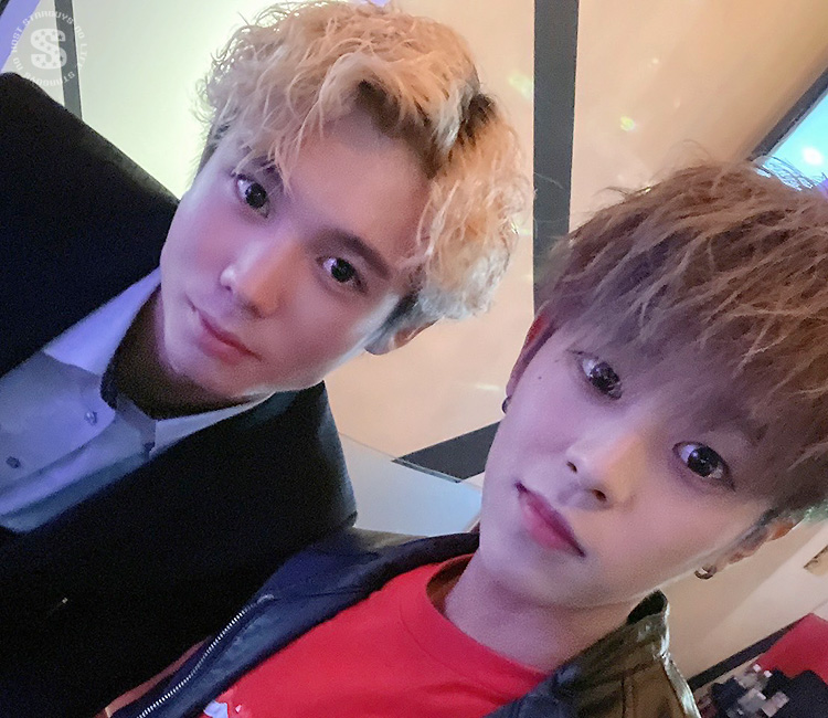 スターダムグループ 合同営業DAY