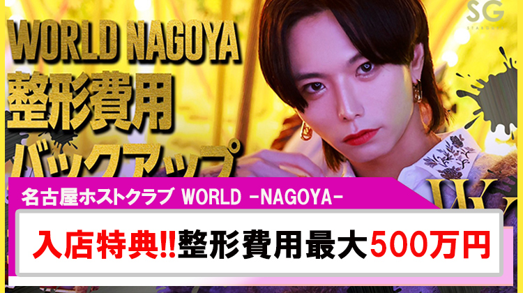 【WORLD -NAGOYA-】入店特典!!整形費用最大500万円バックアップ?!