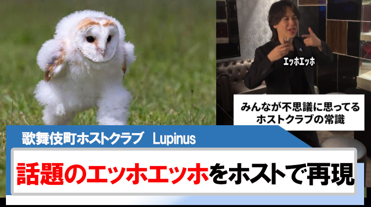 【Lupinus 【ルピナス】】今流行りのｴｯﾎｴｯﾎをホストver.で再現!!