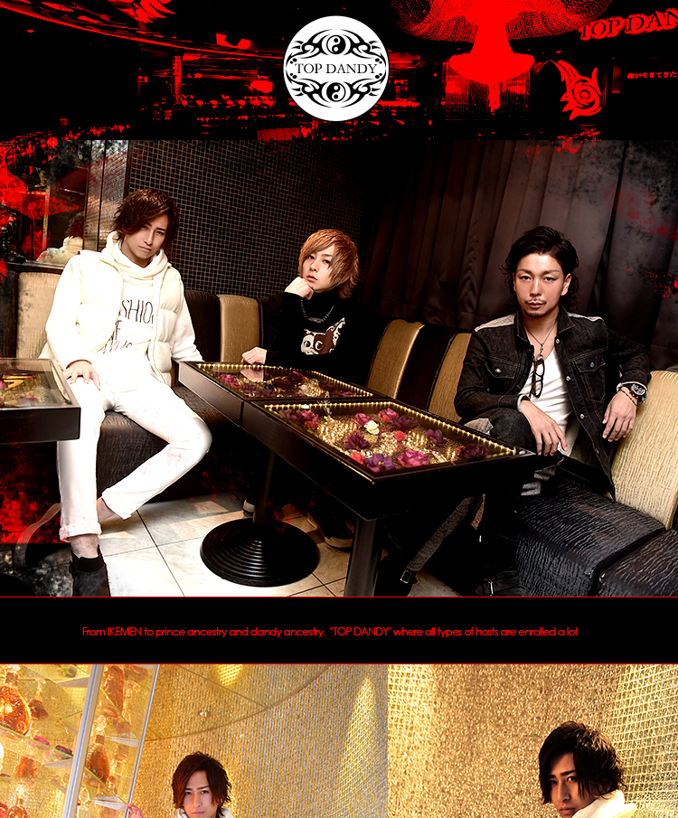 歌舞伎町ホストクラブ TOP DANDY