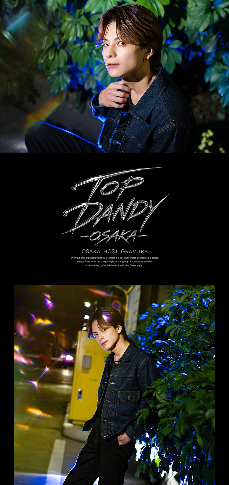大阪ホストクラブ TOP DANDY -OSAKA- 赤星 遥