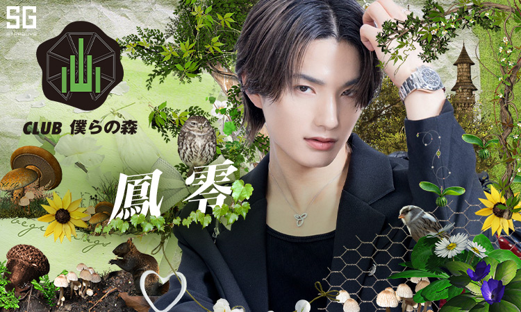 歌舞伎町 僕らの森 ボクラノモリ