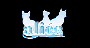 歌舞伎町 alice アリス